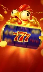 Chicken Coin